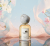 Gemini_Generated_Image_idkez7idkez7idke.png